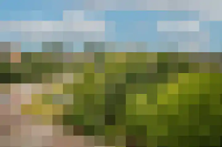 Het Jaagpad 80 Tiel thumbnail 9