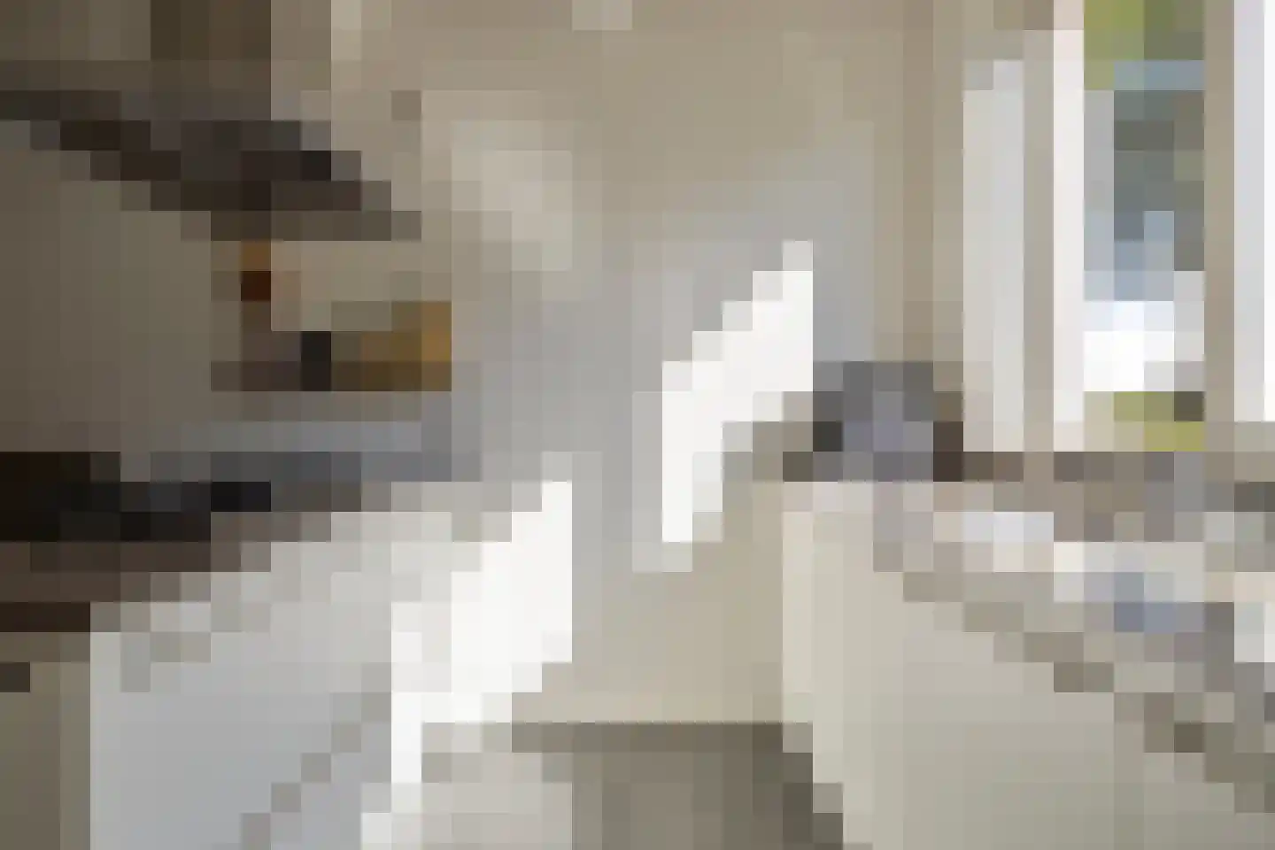 Het Jagertje 16 Terheijden thumbnail 13