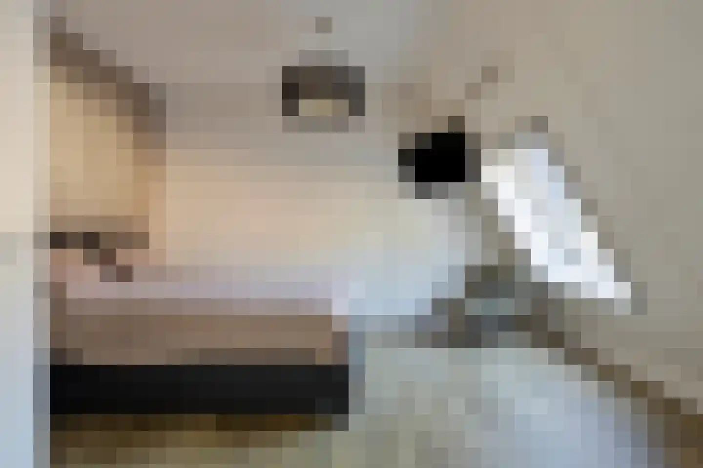 Het Jagertje 16 Terheijden thumbnail 18