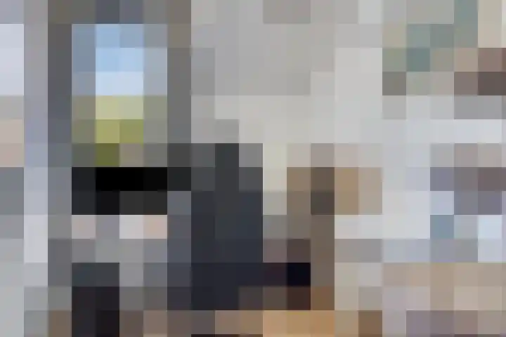 Het Jagertje 23 Terheijden thumbnail 15