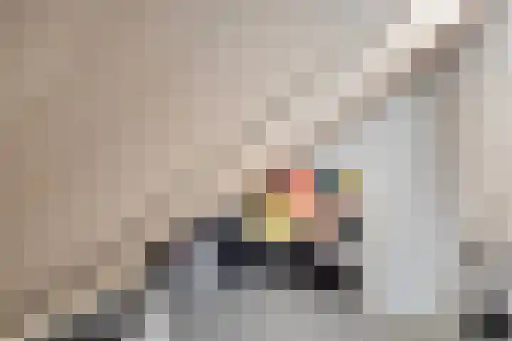 Het Jagertje 23 Terheijden thumbnail 18
