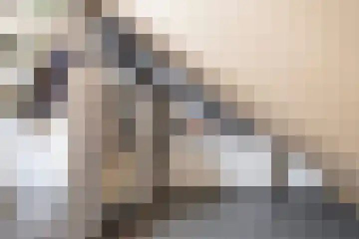 Het Jagertje 23 Terheijden thumbnail 19