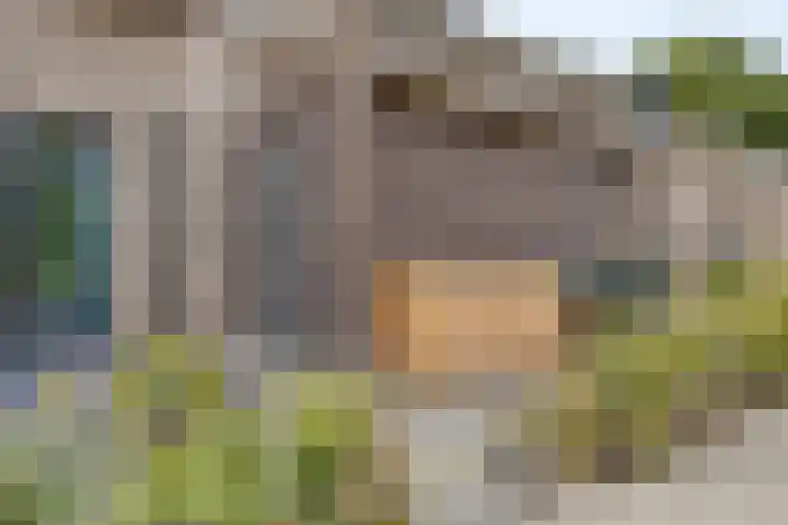 Het Jagertje 23 Terheijden thumbnail 21