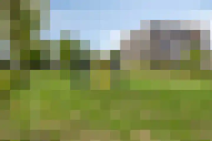 Het Jagertje 23 Terheijden thumbnail 22