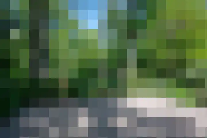 het Jebbink 10 Vorden thumbnail 10