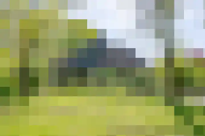 het Jebbink 10 Vorden thumbnail 11