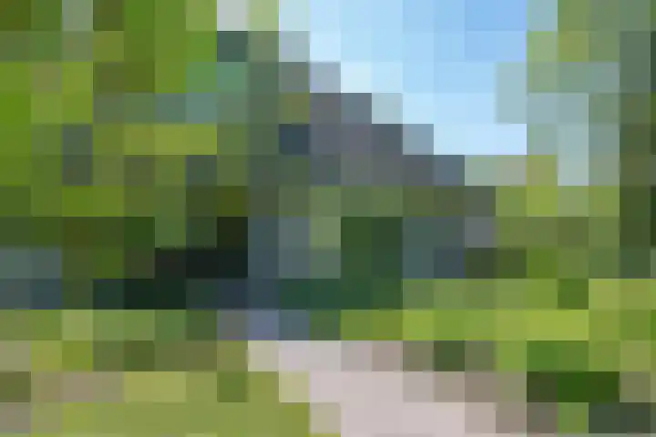 het Jebbink 10 Vorden thumbnail 12