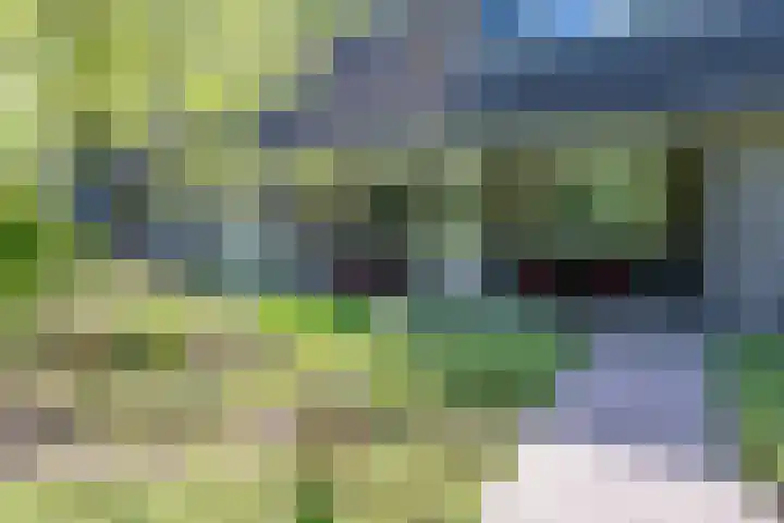 het Jebbink 10 Vorden thumbnail 13