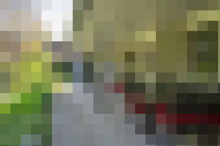 het Jebbink 10 Vorden thumbnail 14