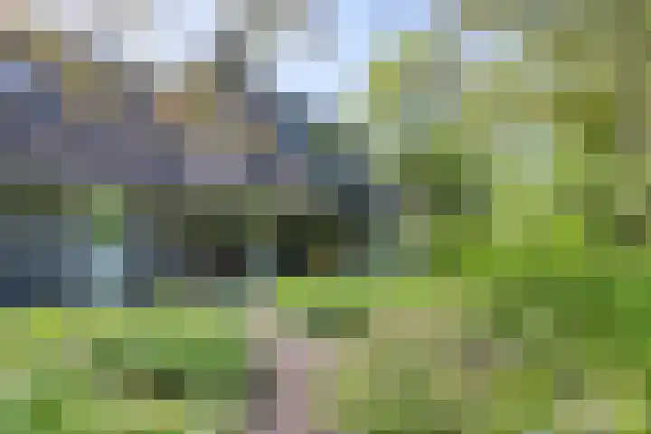 het Jebbink 10 Vorden thumbnail 15