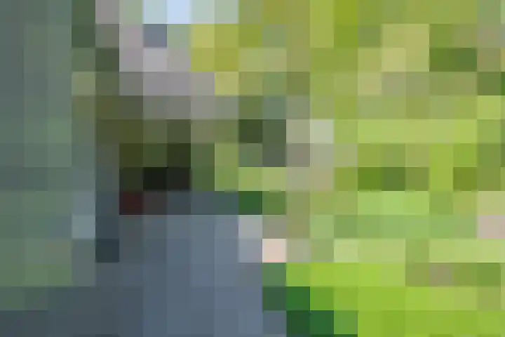 het Jebbink 10 Vorden thumbnail 16