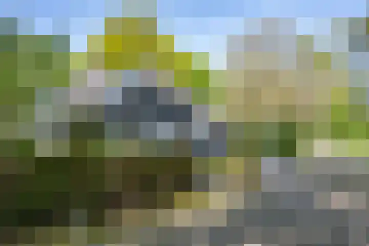 het Jebbink 10 Vorden thumbnail 17