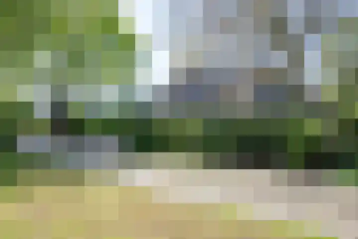 het Jebbink 10 Vorden thumbnail 18