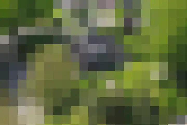 het Jebbink 10 Vorden thumbnail 19