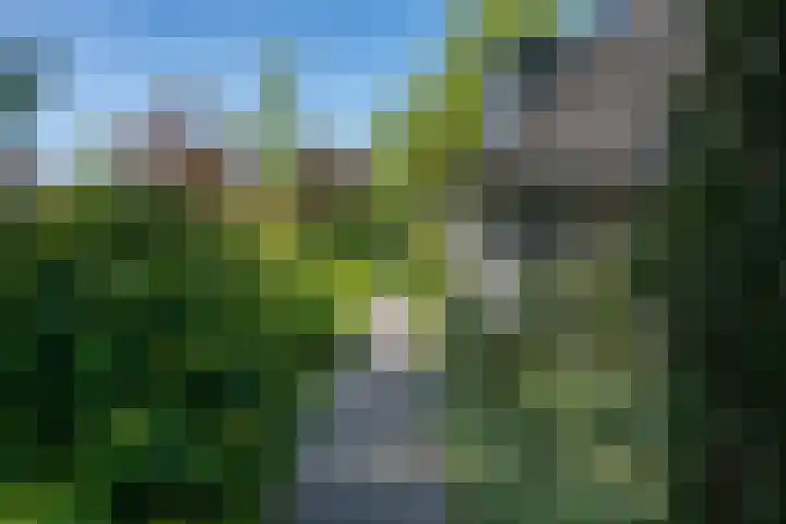 het Jebbink 10 Vorden thumbnail 21
