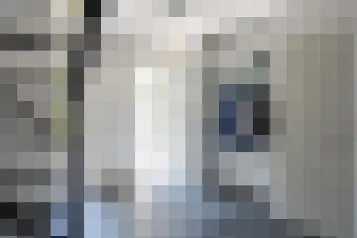 het Jebbink 10 Vorden thumbnail 24