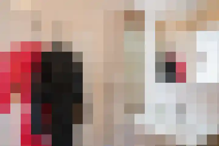 het Jebbink 10 Vorden thumbnail 28