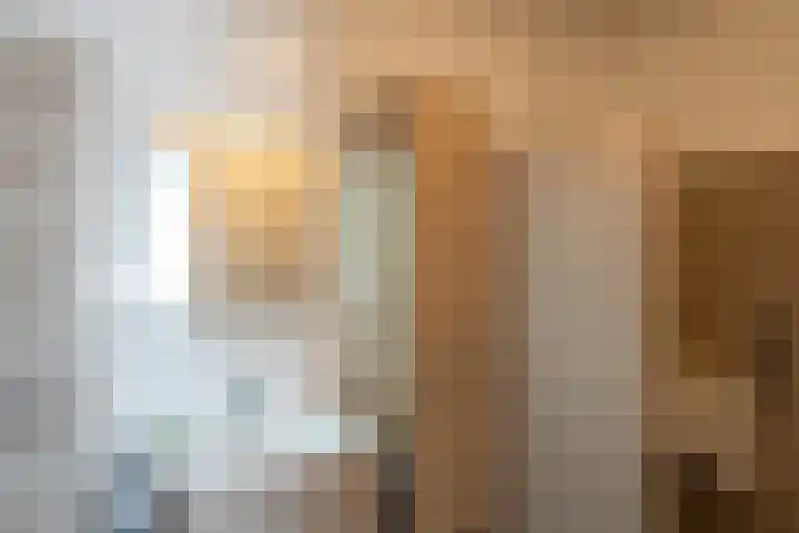 het Jebbink 10 Vorden thumbnail 29