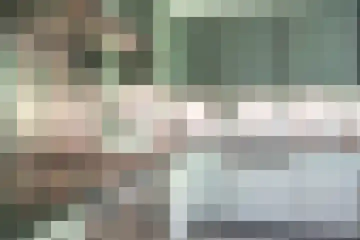 het Jebbink 10 Vorden foto 3