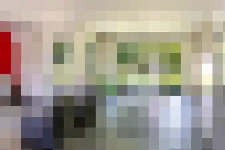 het Jebbink 10 Vorden thumbnail 31