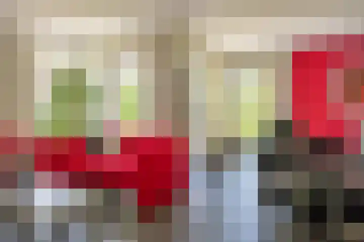 het Jebbink 10 Vorden thumbnail 36