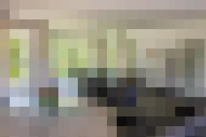 het Jebbink 10 Vorden thumbnail 37
