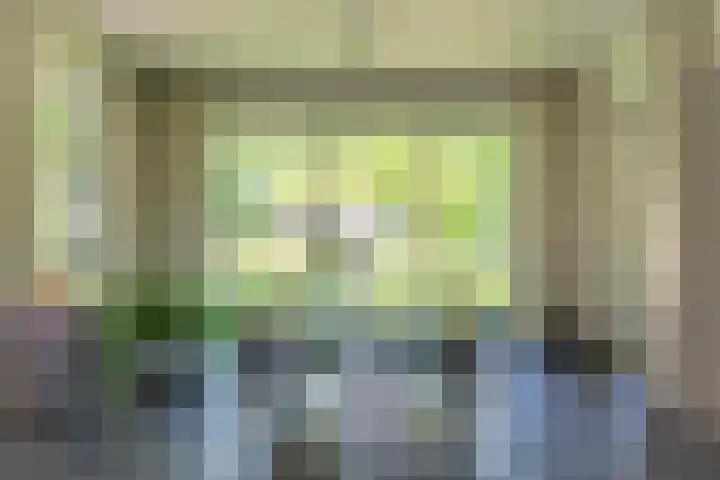 het Jebbink 10 Vorden thumbnail 38