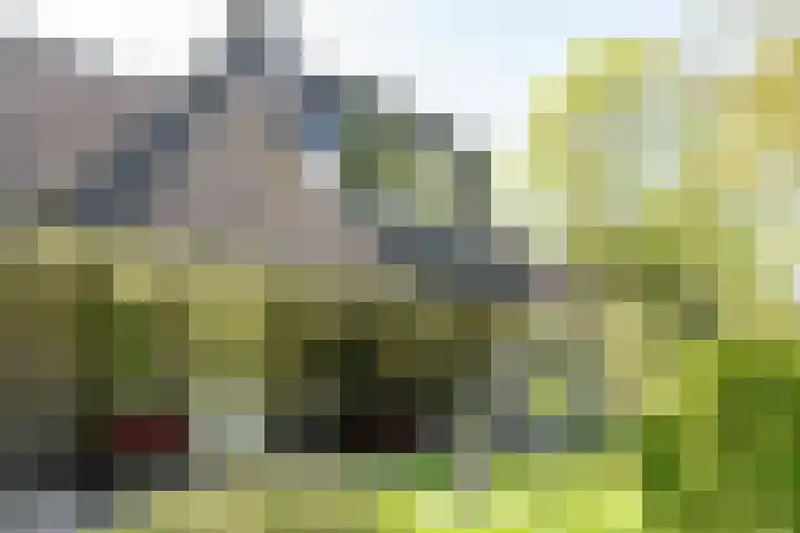 het Jebbink 10 Vorden thumbnail 39