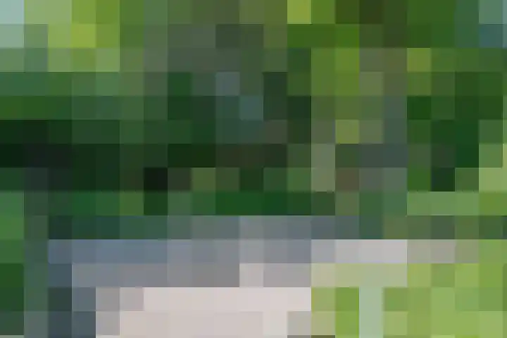 het Jebbink 10 Vorden thumbnail 40