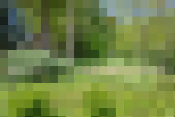het Jebbink 10 Vorden thumbnail 41