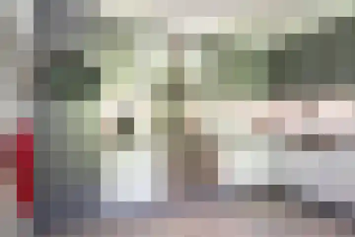 het Jebbink 10 Vorden thumbnail 44
