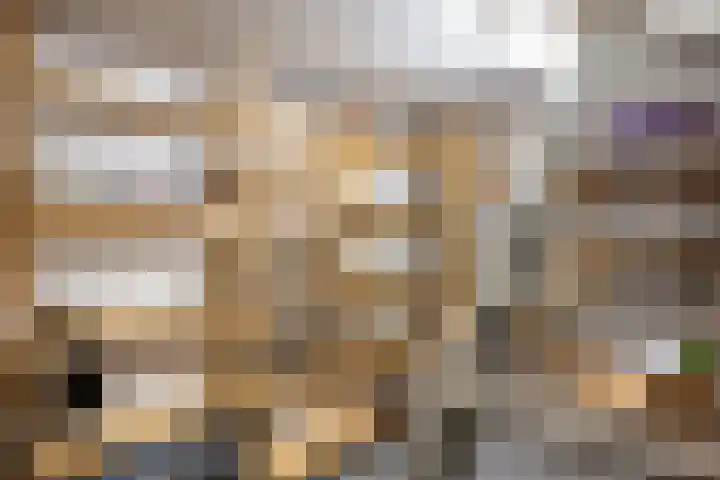 het Jebbink 10 Vorden thumbnail 48