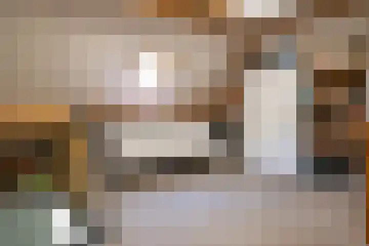 het Jebbink 10 Vorden thumbnail 53