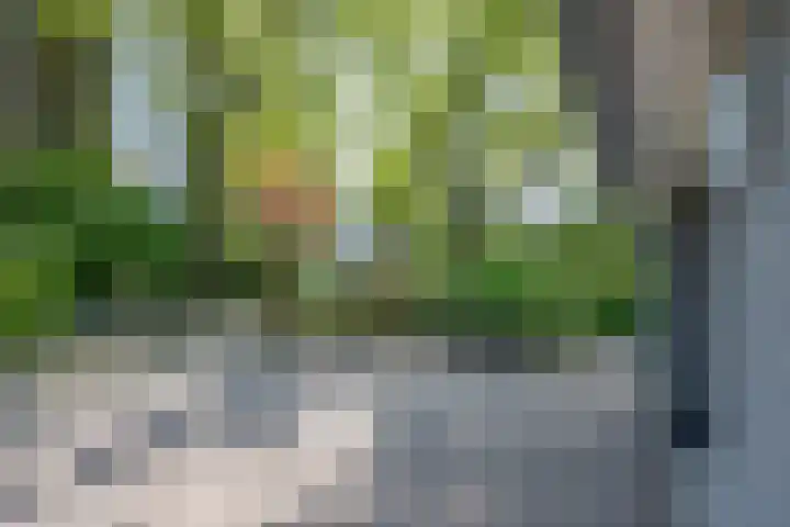 het Jebbink 10 Vorden thumbnail 55