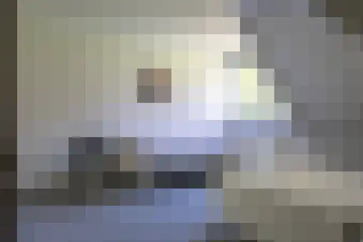 het Jebbink 10 Vorden thumbnail 58