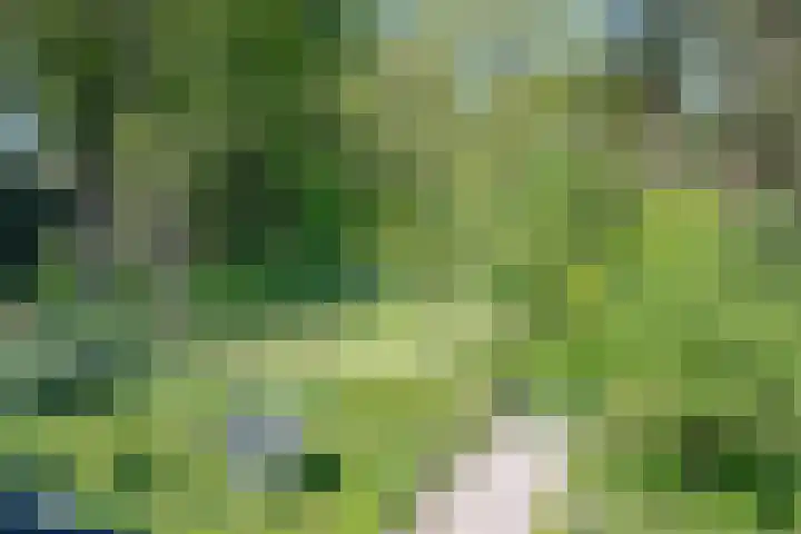 het Jebbink 10 Vorden thumbnail 59