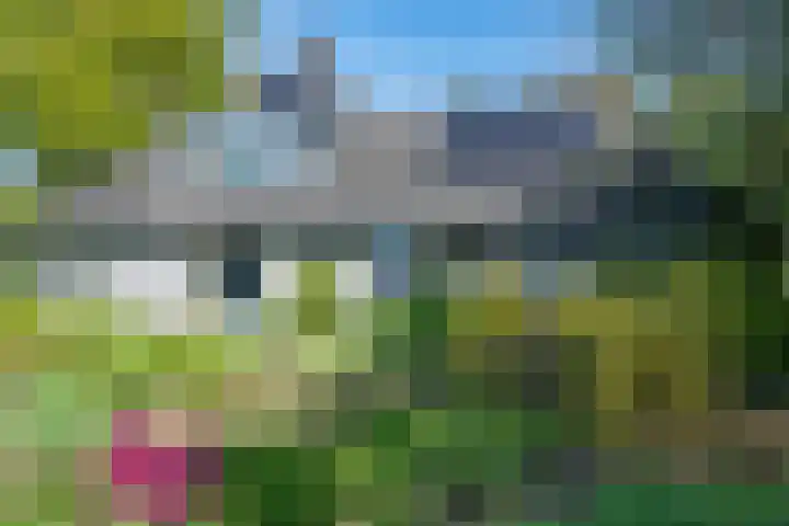 het Jebbink 10 Vorden thumbnail 6