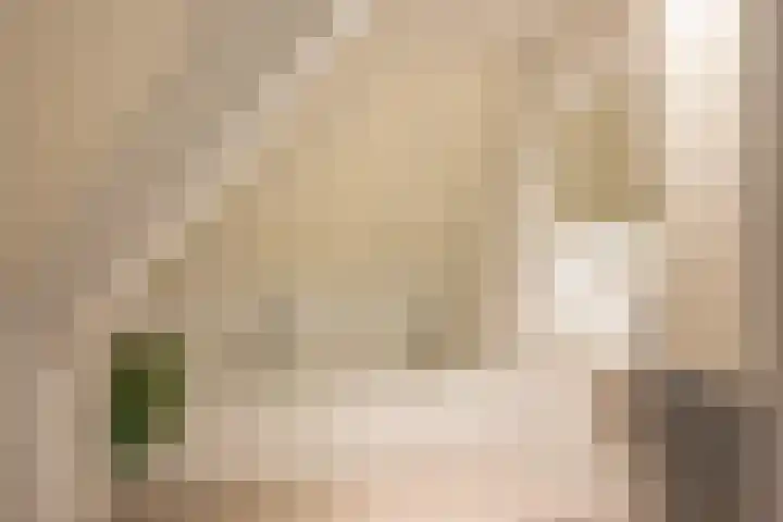 het Jebbink 10 Vorden thumbnail 63