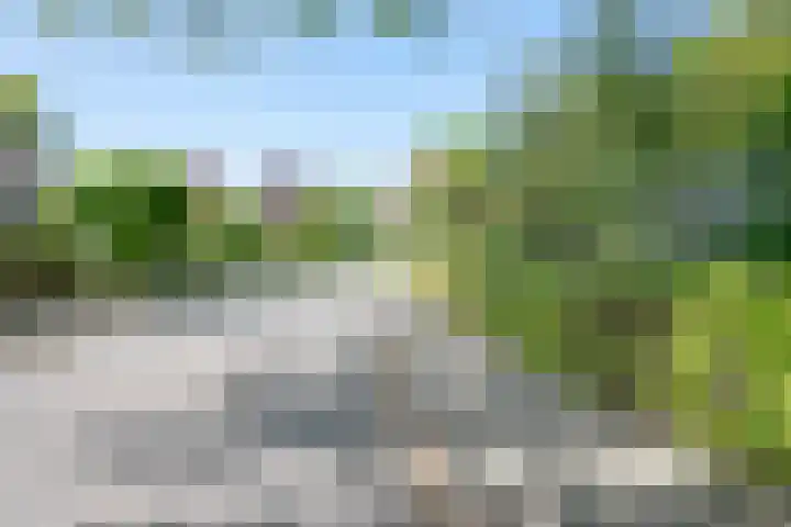 het Jebbink 10 Vorden thumbnail 67