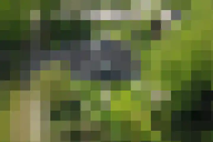 het Jebbink 10 Vorden thumbnail 68