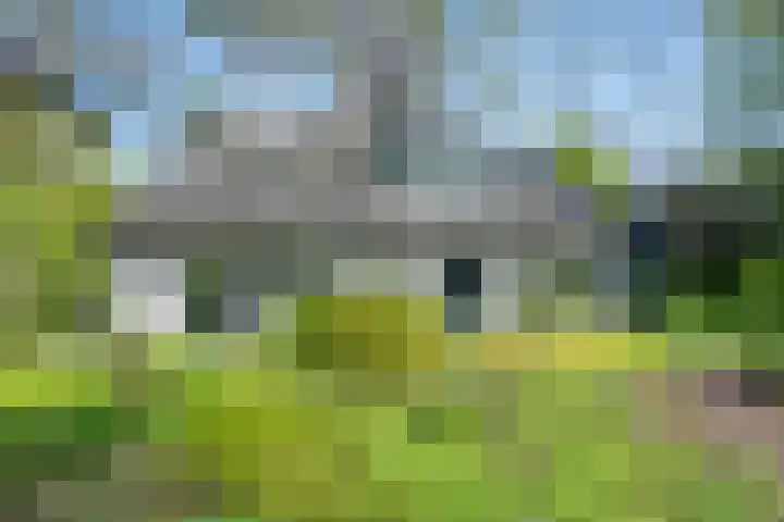 het Jebbink 10 Vorden thumbnail 7