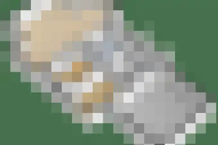 het Jebbink 10 Vorden thumbnail 70