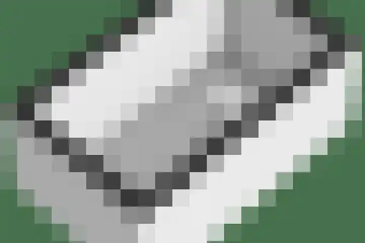 het Jebbink 10 Vorden thumbnail 73