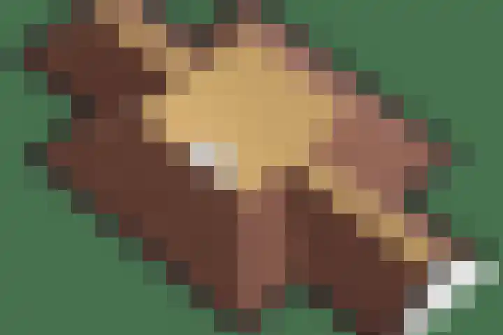 het Jebbink 10 Vorden thumbnail 75