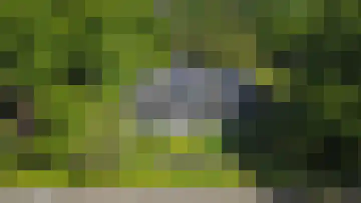 het Jebbink 10 Vorden thumbnail 77