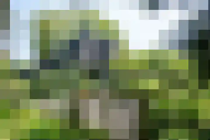 het Jebbink 10 Vorden thumbnail 8