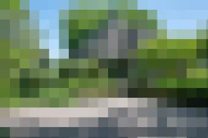 het Jebbink 10 Vorden thumbnail 9