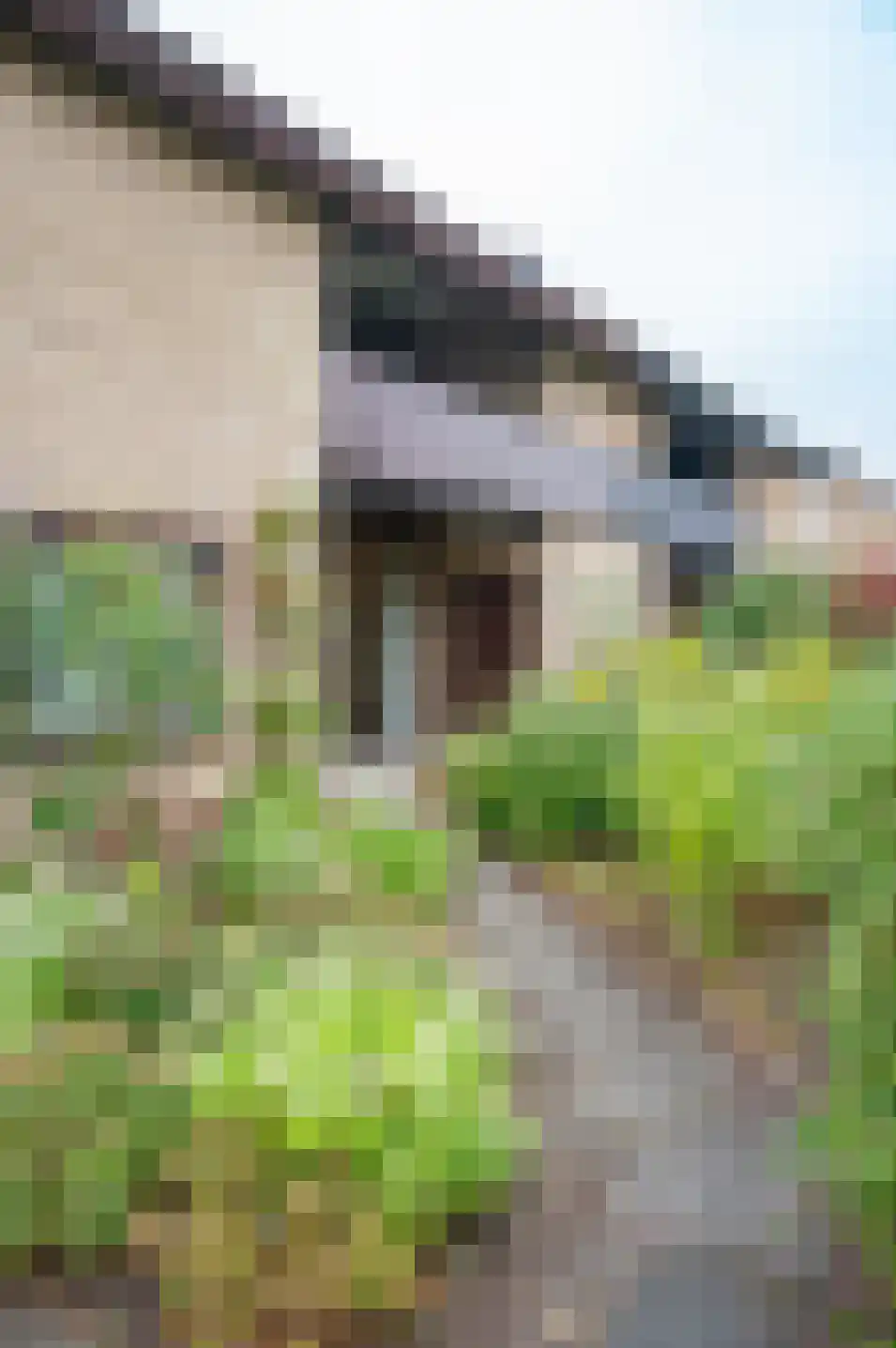 het Jebbink 49 Vorden thumbnail 10