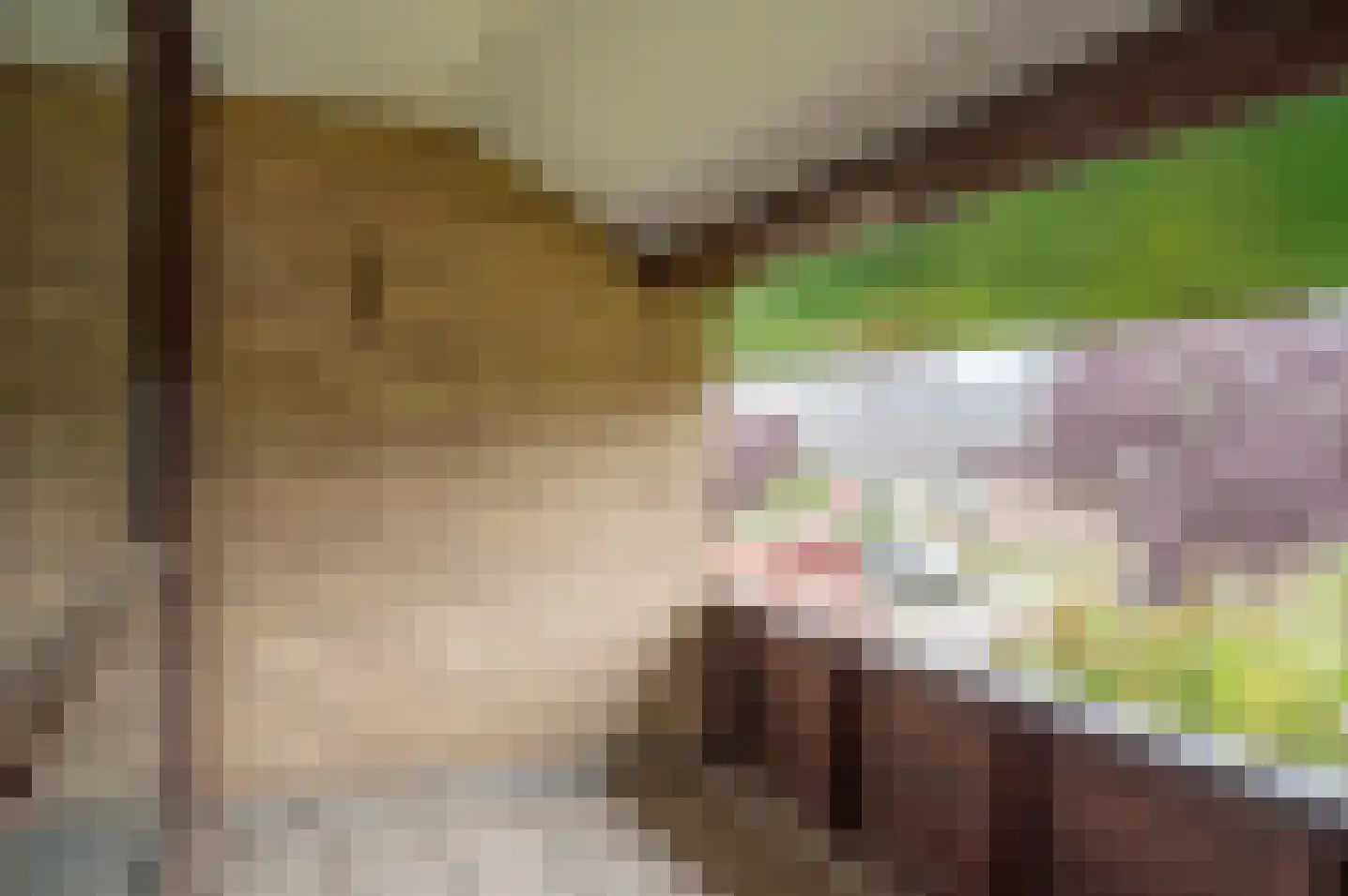 het Jebbink 49 Vorden thumbnail 24