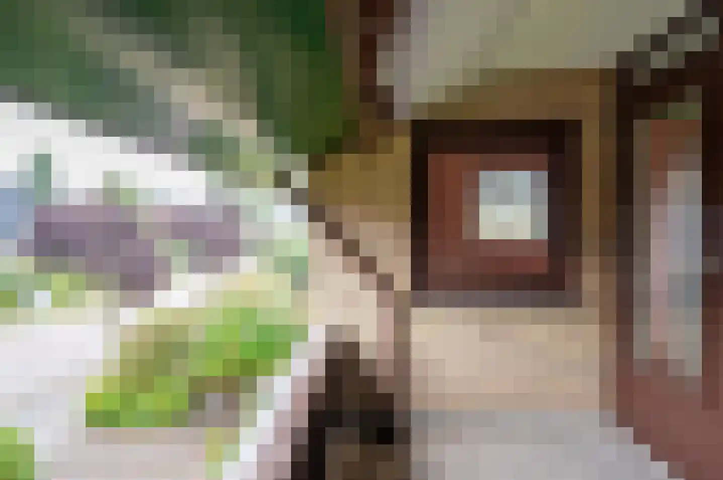 het Jebbink 49 Vorden thumbnail 25